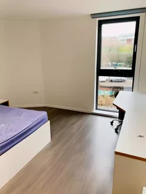 Privatzimmer in der Dunaskin Street, bild 26 von 49
