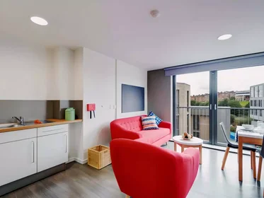 Privatzimmer in der Dunaskin Street, bild 32 von 49