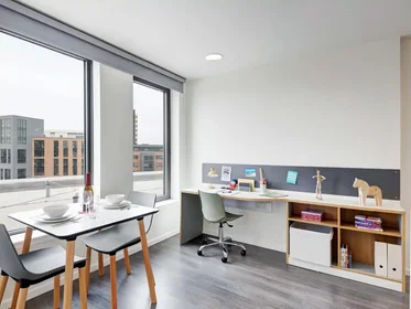 Privatzimmer in der Dunaskin Street, bild 42 von 49