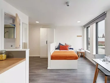 Privatzimmer in der Dunaskin Street, bild 43 von 49