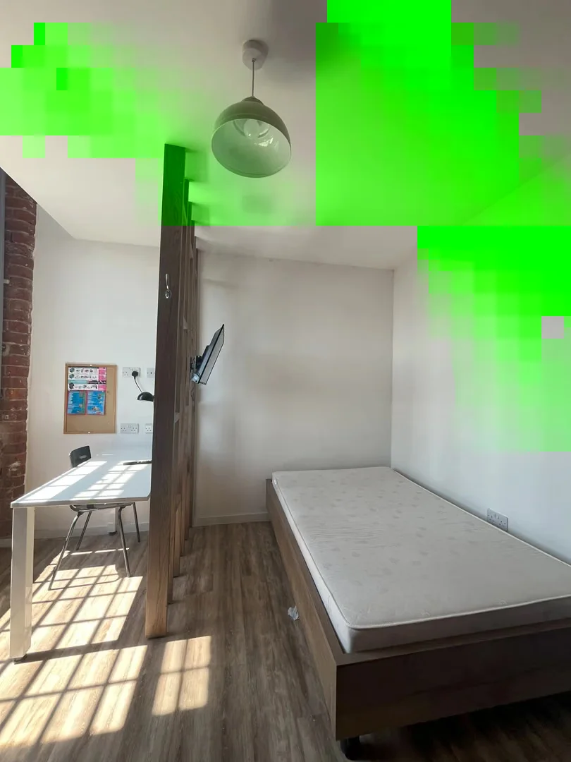 Affordable room for students with ample lighting in 
