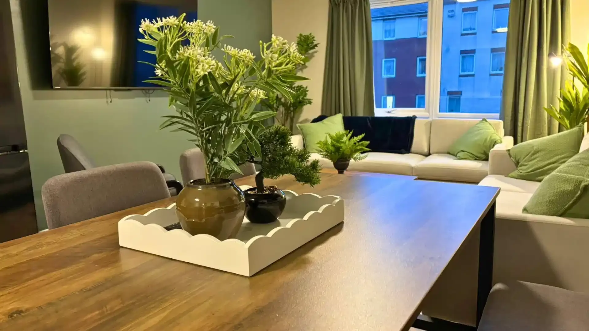Affordable room for students with ample lighting in 