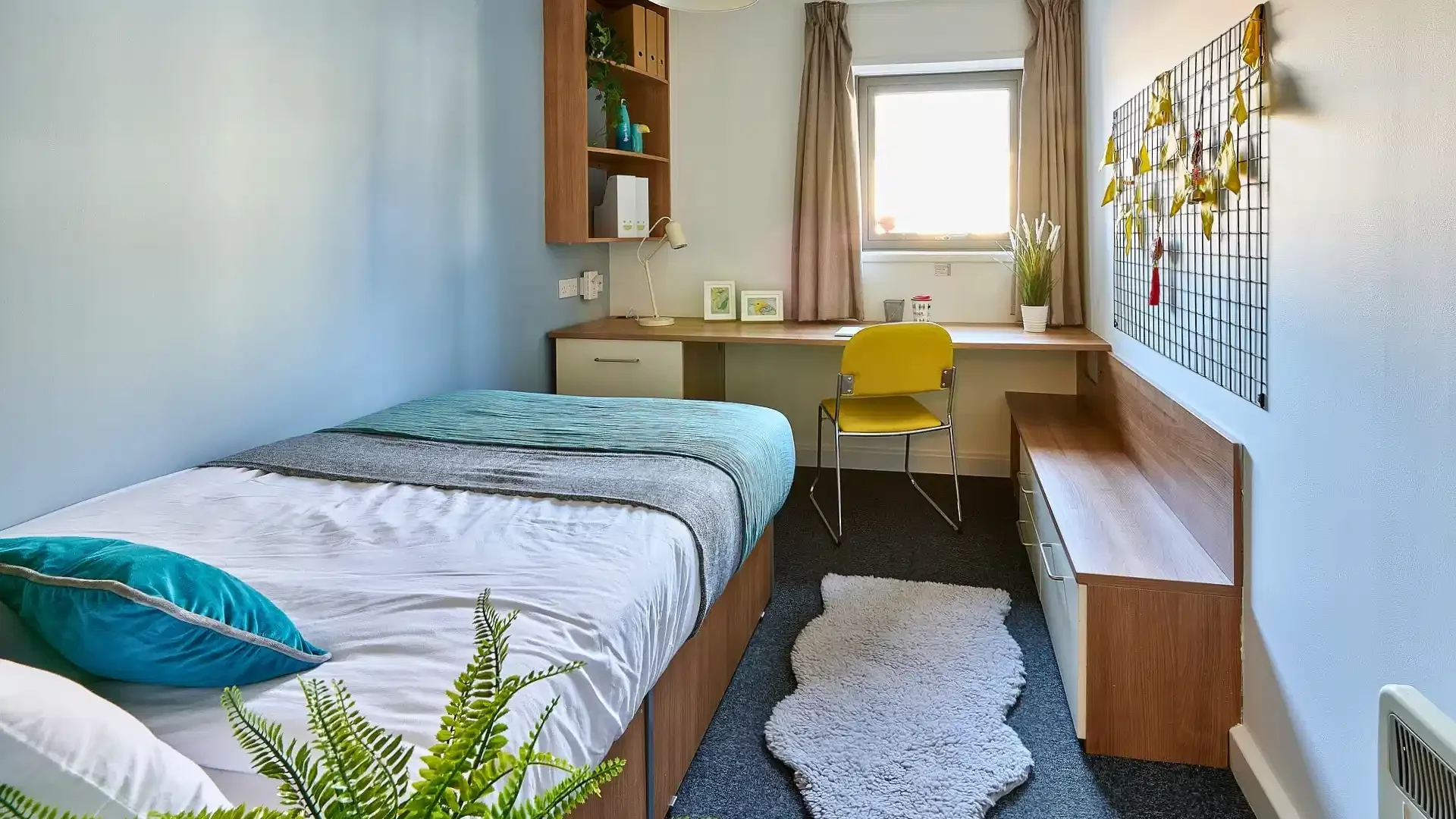 Preisgünstiges Studentenzimmer in günstiger Lage in 