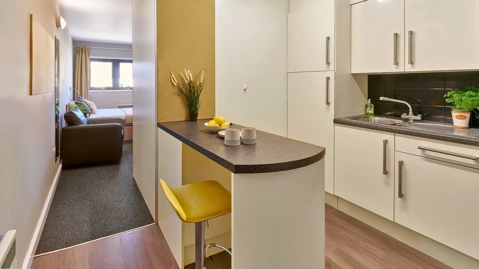 Student-friendly studio with excellent transport links in 