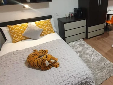Habitación privada en Norfolk Street, imagen 28 de 46