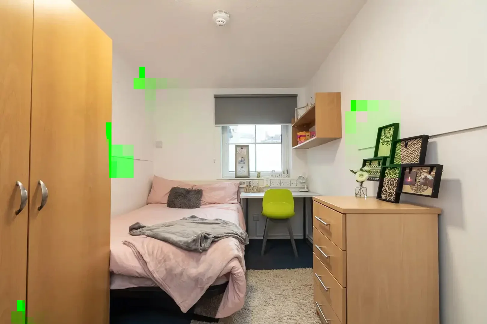 Camera accogliente per studenti disponibile a 