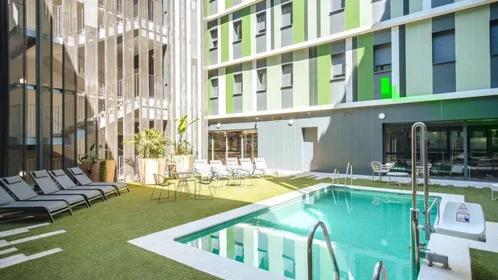 Studio à Avenida de la Palmera, image 14 de 49