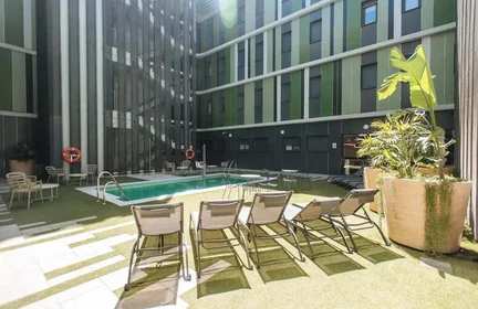 Studio à Avenida de la Palmera, image 24 de 49