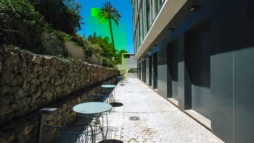 Studio à Avenida de la Palmera, image 49 de 49