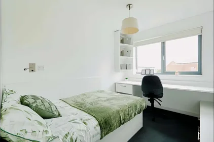 Stanza privata in Newmarket Road, immagine 1 di 28