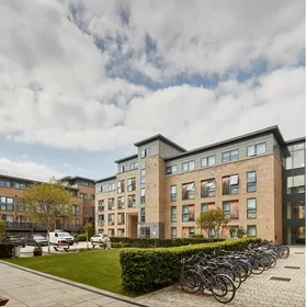 Stanza privata in Newmarket Road, immagine 11 di 28