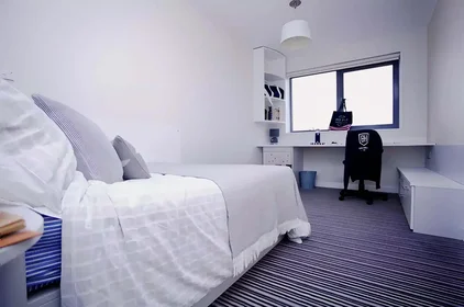 Stanza privata in Newmarket Road, immagine 20 di 28