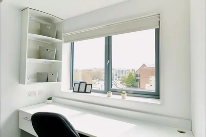 Stanza privata in Newmarket Road, immagine 3 di 28