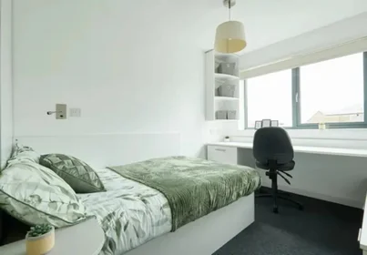 Stanza privata in Newmarket Road, immagine 6 di 28