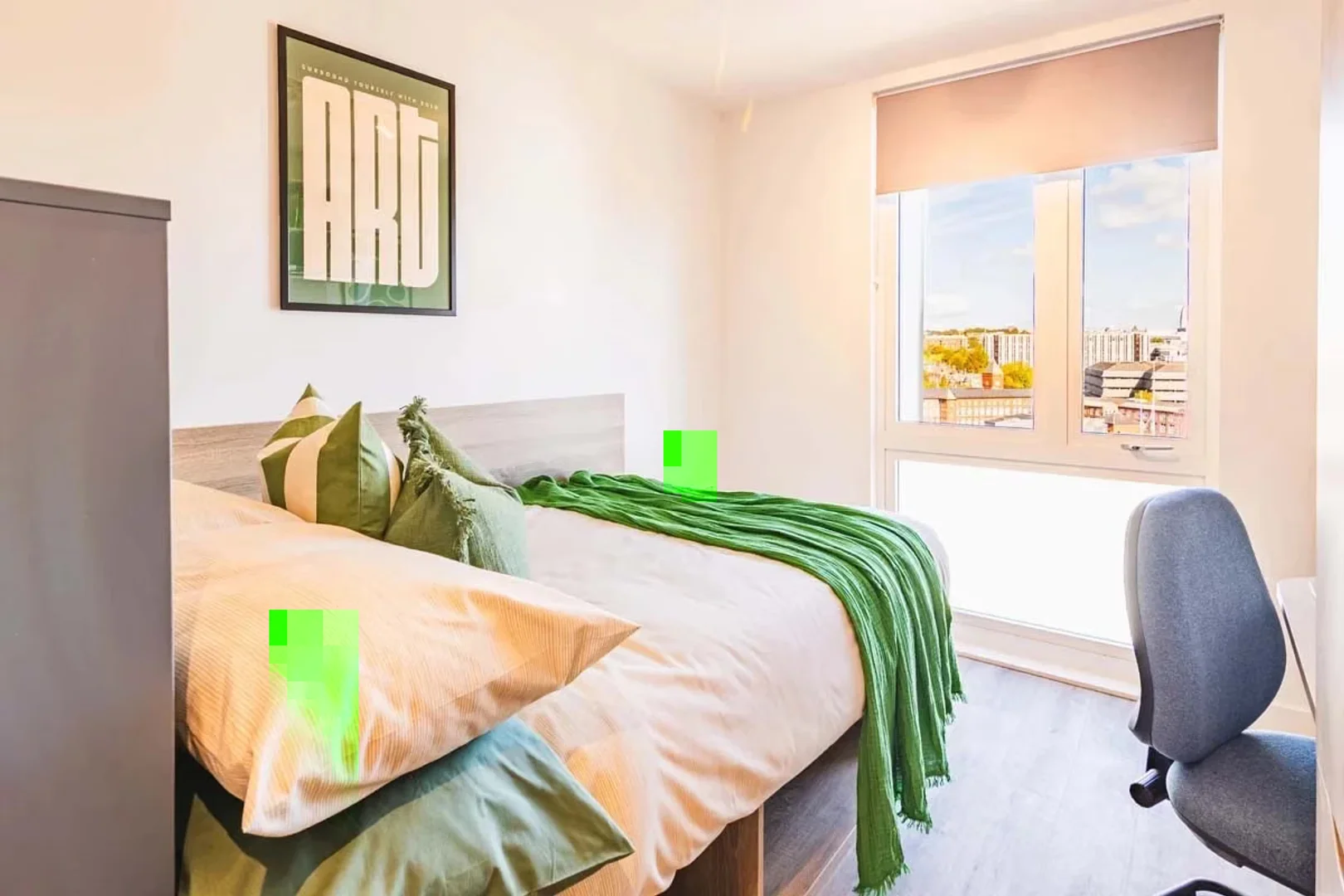 Affordable room for students with ample lighting in