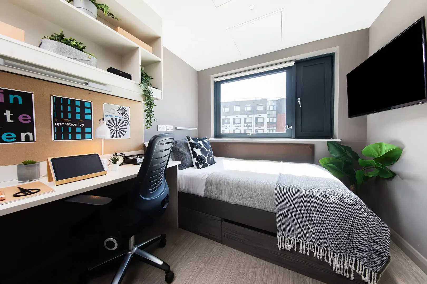 Habitación estudiantil económica cerca del campus en 