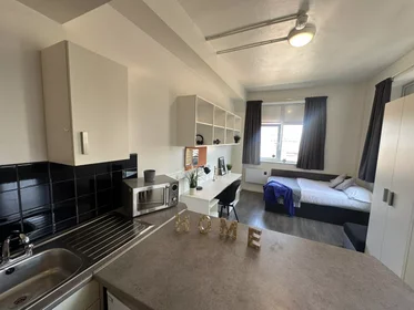 Monolocale in Royal Parade, immagine 2 di 46