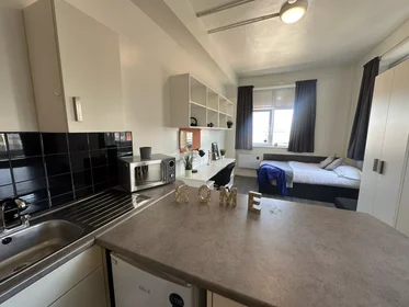 Monolocale in Royal Parade, immagine 3 di 46