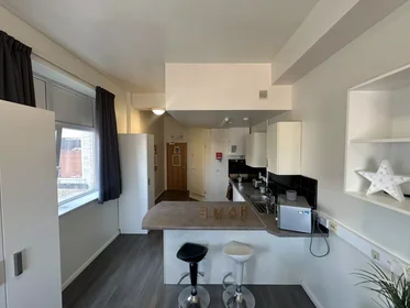 Monolocale in Royal Parade, immagine 7 di 46