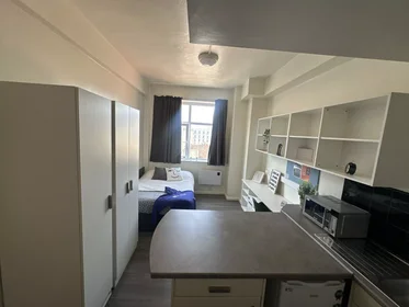 Monolocale in Royal Parade, immagine 3 di 42