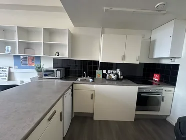 Monolocale in Royal Parade, immagine 4 di 42