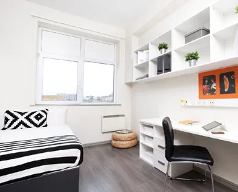 Studio à Royal Parade, image 1 de 43