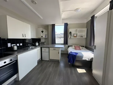 Monolocale in Royal Parade, immagine 3 di 44