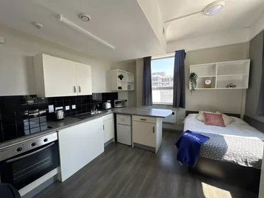 Monolocale in Royal Parade, immagine 4 di 44