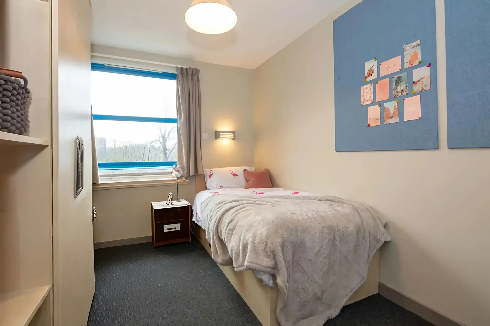 Chambre abordable pour les étudiants avec un bon éclairage dans