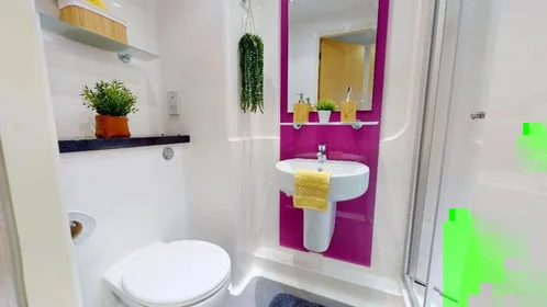 Private room at King's Bridge Road, image 12 of 19