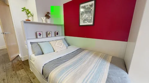 Stanza privata in King's Bridge Road, immagine 1 di 10