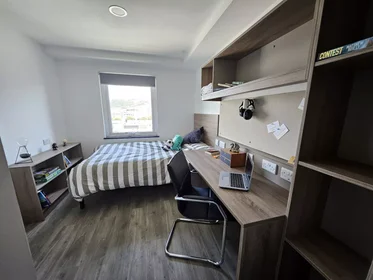 Privatzimmer in der The Kingsway, bild 1 von 10