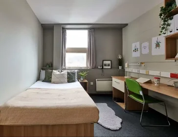 Privatzimmer in der Northernhay Place, bild 19 von 40