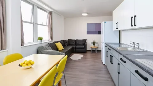 Privatzimmer in der Northernhay Place, bild 6 von 40