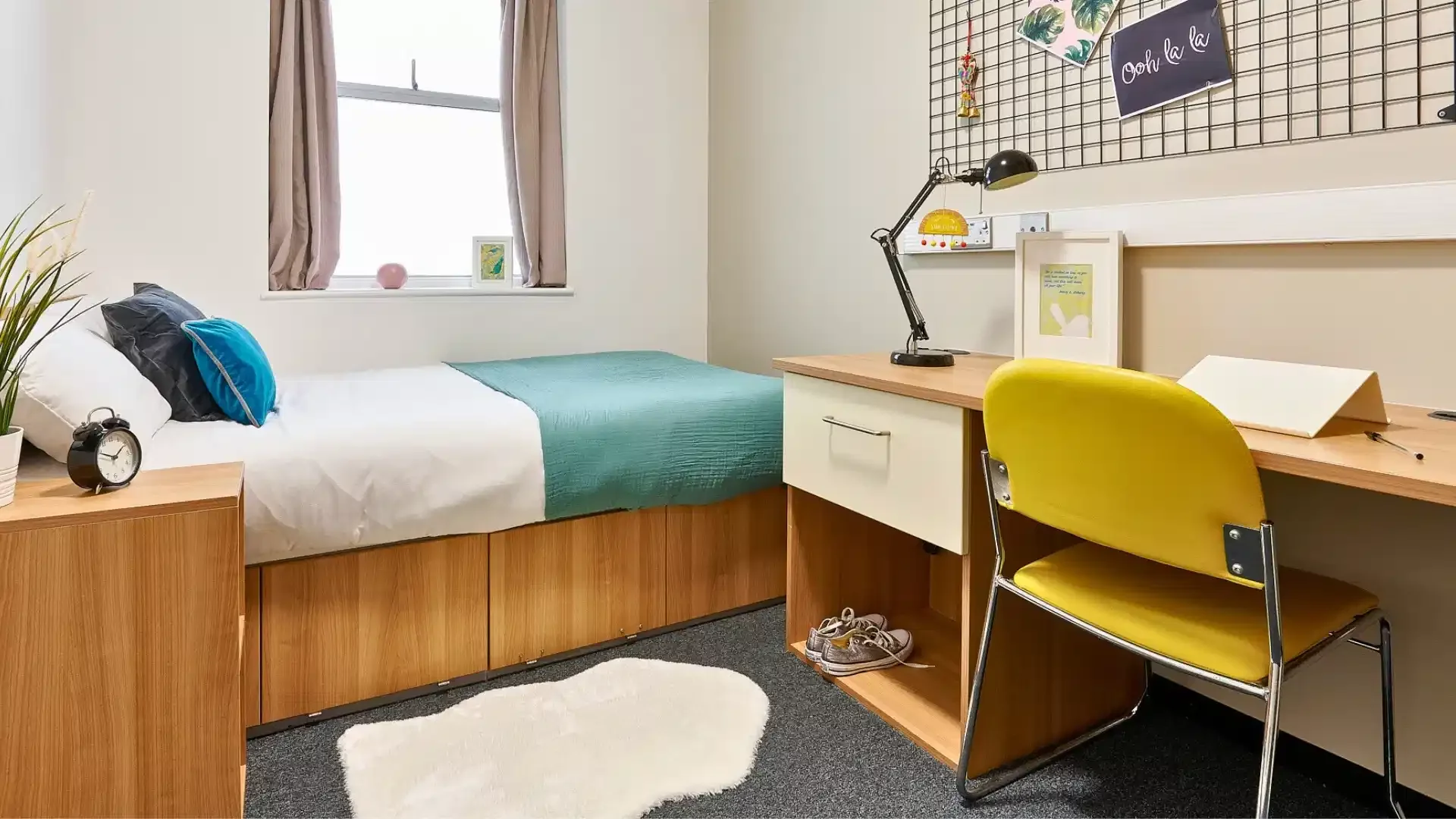 Chambre abordable pour les étudiants avec un bon éclairage dans 