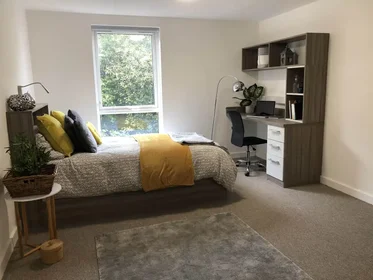 Studio in der North Street, bild 1 von 10