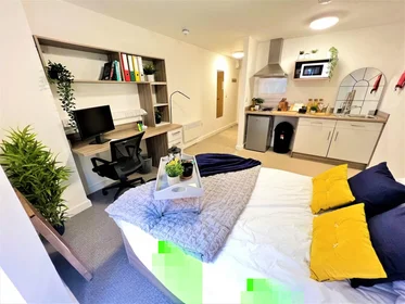 Sehr helles Studio zur Miete in {area}