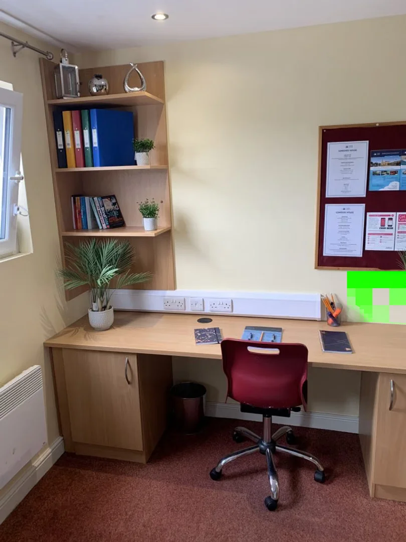 Estudio totalmente equipado para estudiantes en 
