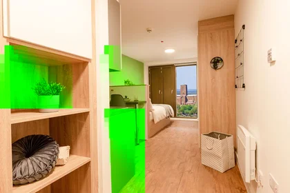 Monolocale in Walnut Tree Close, immagine 2 di 40
