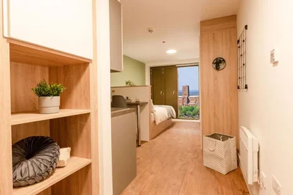 Monolocale in Walnut Tree Close, immagine 4 di 40