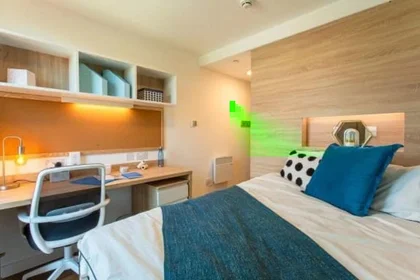 Stanza privata in Walnut Tree Close, immagine 1 di 10
