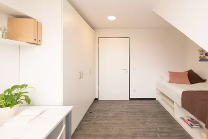 Privatzimmer in der Geiststraße, bild 12 von 49