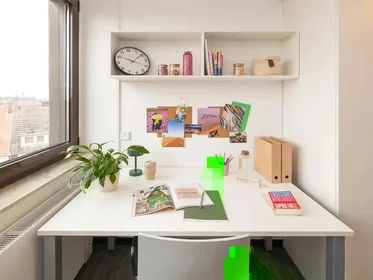 Studio in der Geiststraße, bild 4 von 49