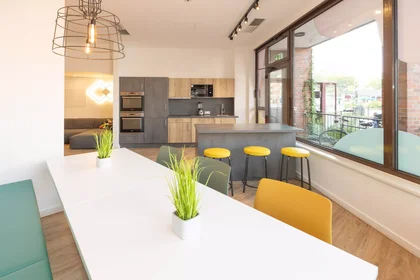Studio in der Geiststraße, bild 17 von 49