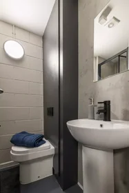 Habitación privada en Bell Street, imagen 12 de 14