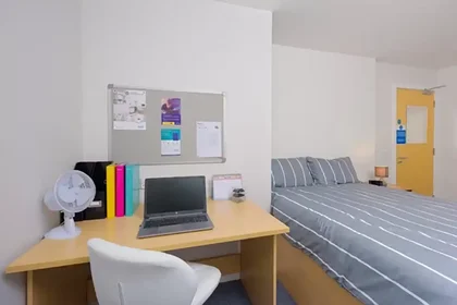 Stanza privata in Bell Street, immagine 12 di 48
