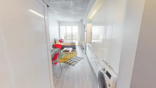 Privatzimmer in der South Maryland Parkway, bild 30 von 36