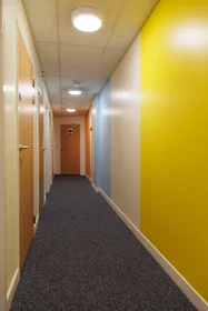 Privatzimmer in der Shoreham Street, bild 22 von 49