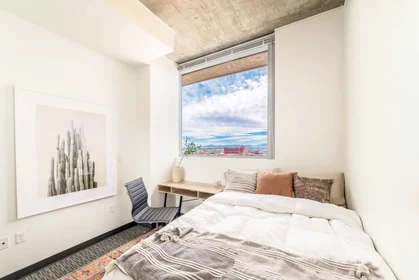 Privatzimmer in der North Tyndall Avenue, bild 3 von 29