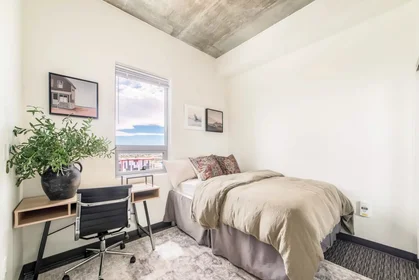 Privatzimmer in der North Tyndall Avenue, bild 2 von 29
